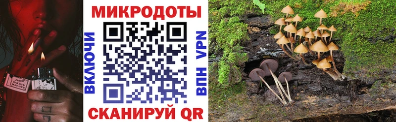 купить наркотики сайты  Дегтярск  Псилоцибиновые грибы мухоморы 
